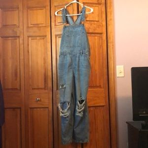 Wild Fable overalls